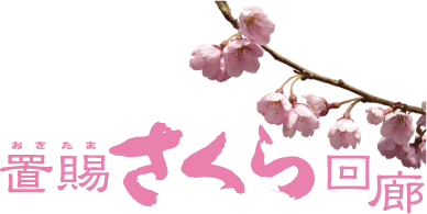 sakura_logo27